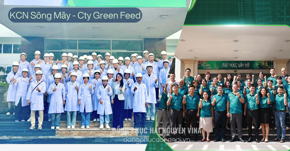 Đồng phục công ty Green Feed KCN Bàu Xéo