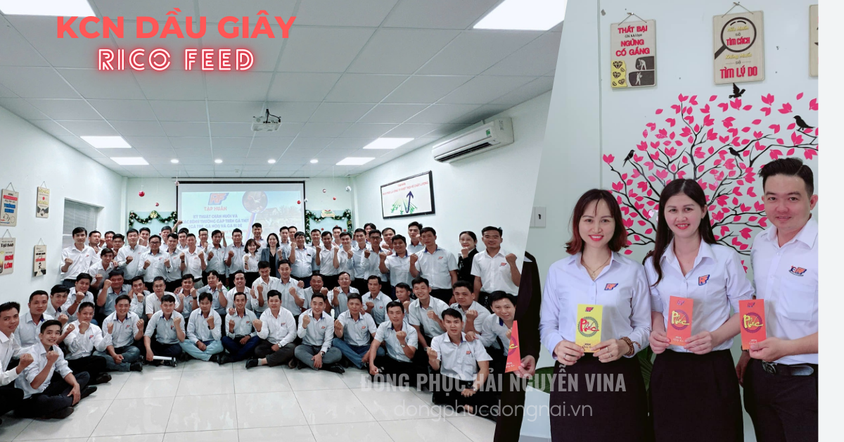 Đồng phục áo somi văn phòng công ty Rico Feed KCN Dầu Giây