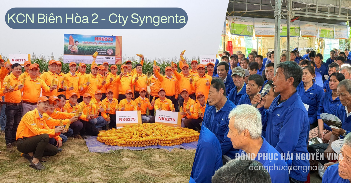 Đồng phục công ty SYNGENTA Khu công nghiệp Biên Hòa 2