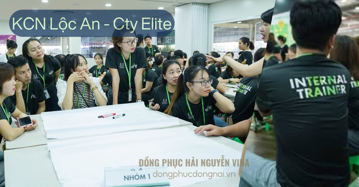 Đồng phục công ty Elite khu công nghiệp Lộc An-Bình Sơn - hình 2
