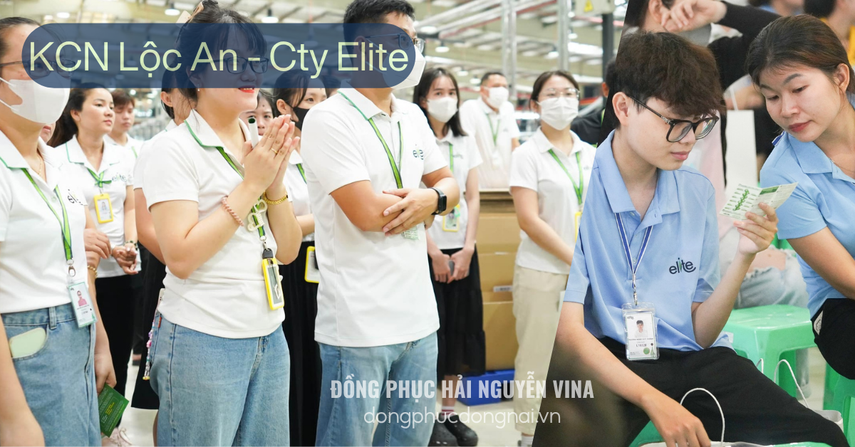 Đồng phục công ty Elite khu công nghiệp Lộc An-Bình Sơn - hình 5