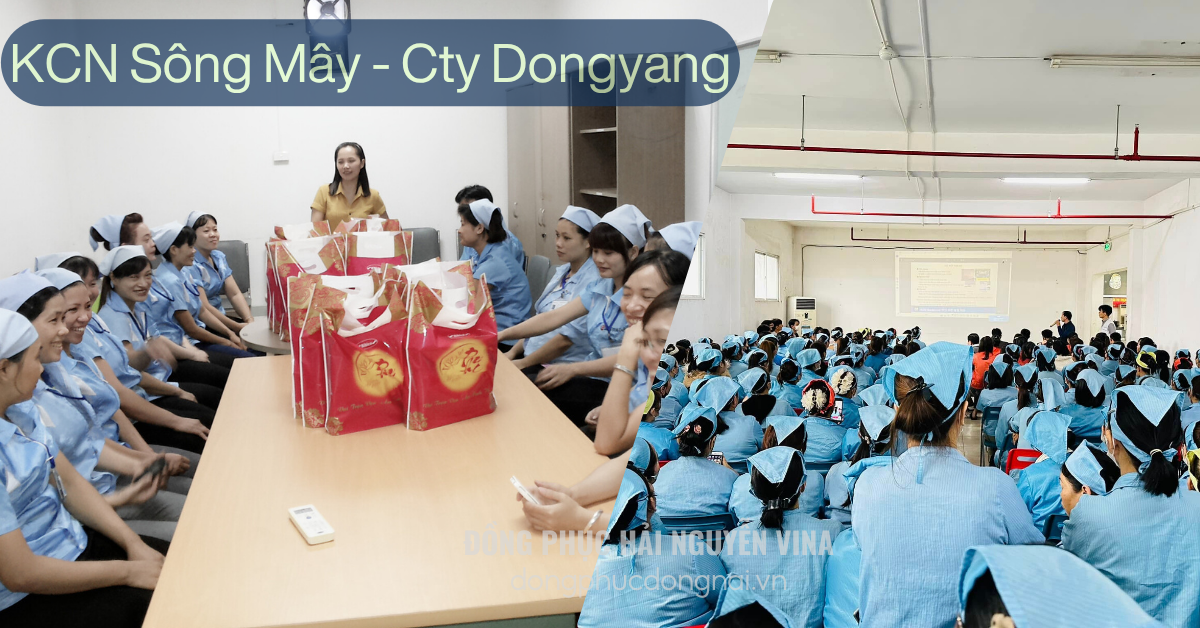 Đồng phục công ty DONGYANG khu công nghiệp Sông mây - hình 3