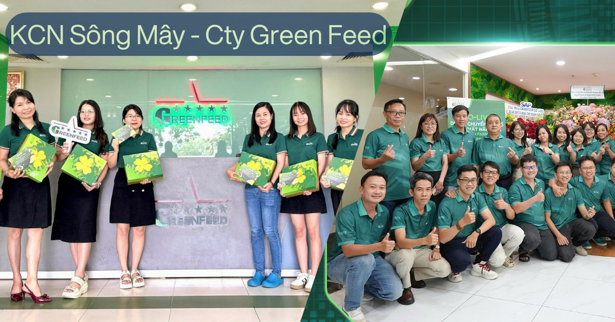 Đồng phục công ty Green Feed khu công nghiệp Sông mây - hình 1