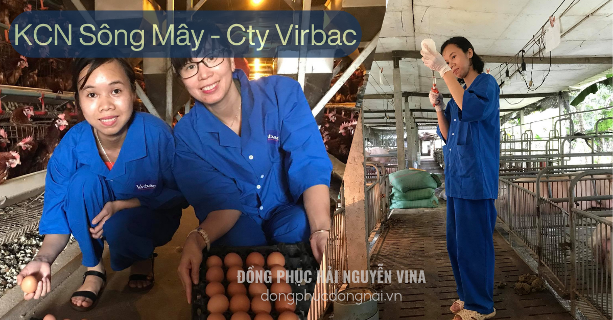Đồng phục công ty Van Shin Yi   khu công nghiệp Sông mây - hình 1